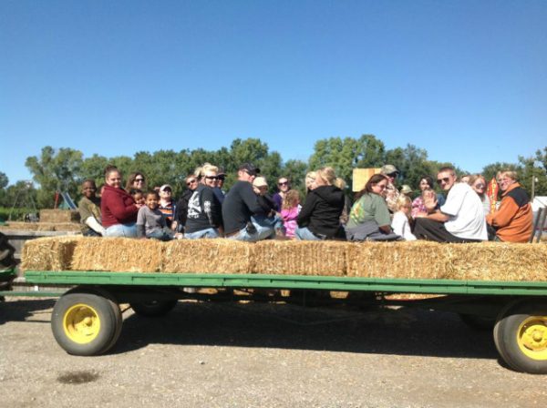 Cox Farm Wichita