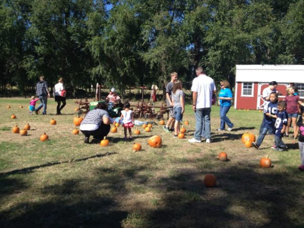 Cox Farm Wichita