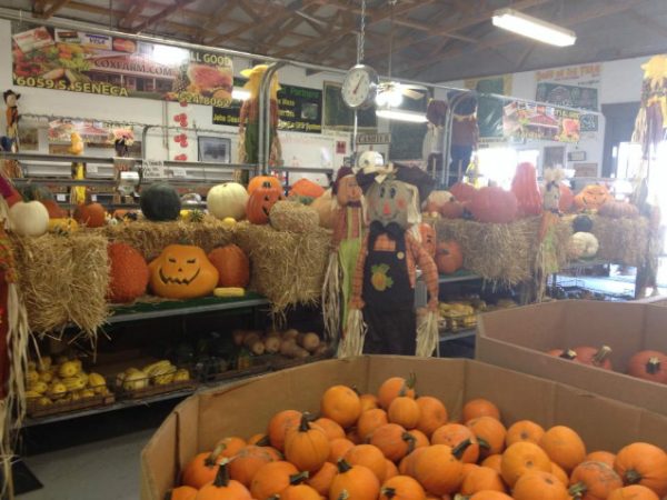 Cox Farm Wichita
