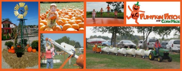 KC Pumpkin Patch
