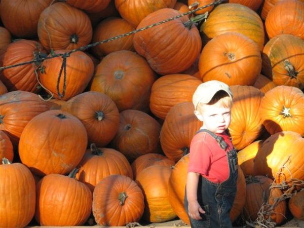 Sullivan Farms HALLOWEEN MONTH
