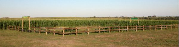 Brazos Valley MAiZE