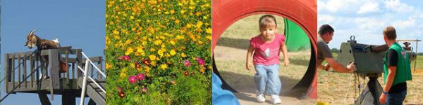 Dewberry Farm Corn Maze