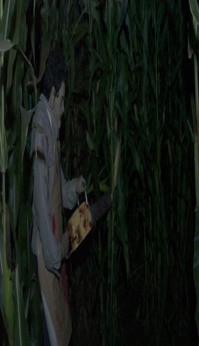 Haunted Corn Maze and More!