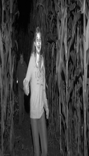 Haunted Corn Maze and More!