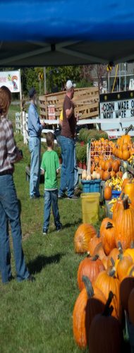 Haunted Corn Maze and More!