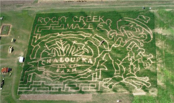 Rocky Creek Corn Maze