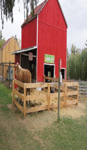 Snyders Family Farm