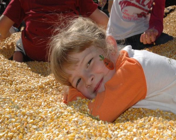 Greenstreet Gardens Fall Festival