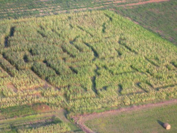 Smith Farms Corn Maze and Pumpkin Patch