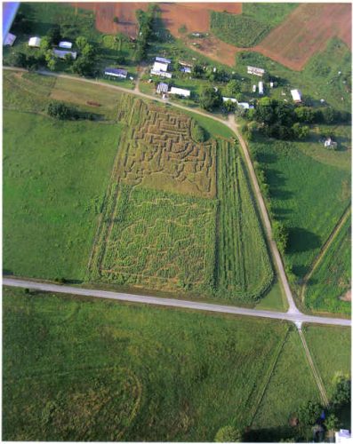 Smith Farms Corn Maze and Pumpkin Patch
