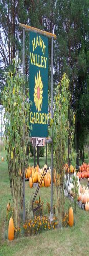 Hawk Valley Garden Pumpkin and Produce Stand's Fall Festival