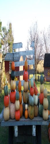 Hawk Valley Garden Pumpkin and Produce Stand's Fall Festival