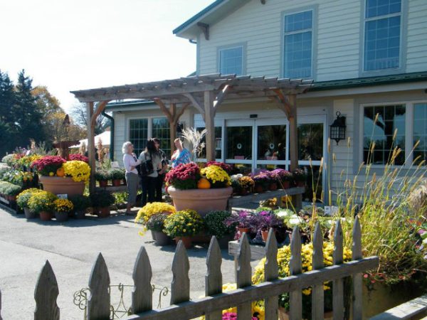 Borzynski's Farm & Floral Market