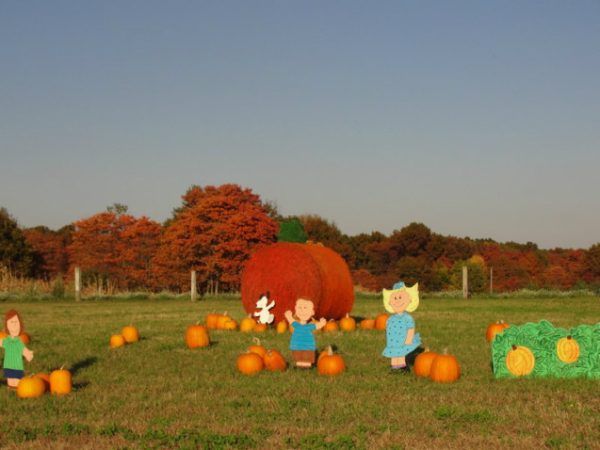 Harvest Moon Acres