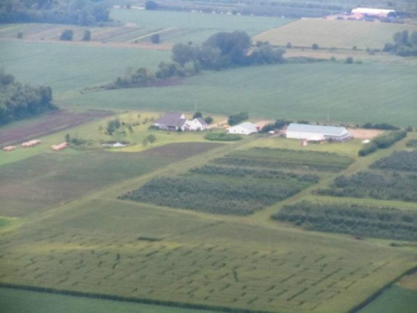 AppleWood Orchard Corn Maze