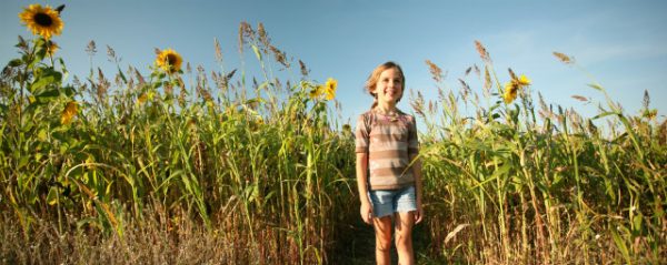 Cornfusion