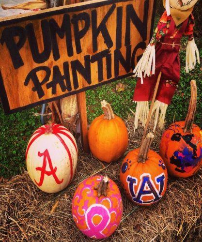 Springville Pumpkin Patch
