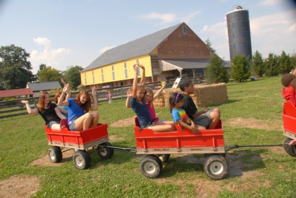 Barnyard Kingdom