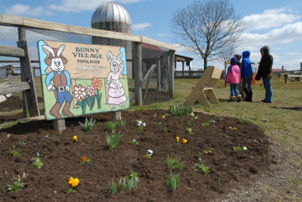 Barnyard Kingdom
