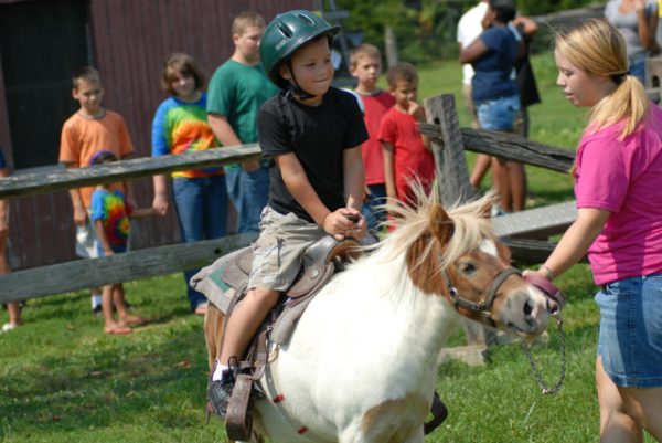 Barnyard Kingdom