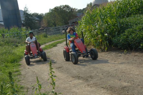 Barnyard Kingdom