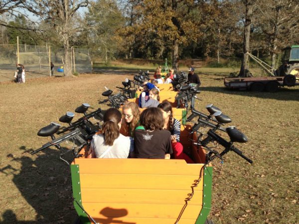 Cajun Country Corn Maze