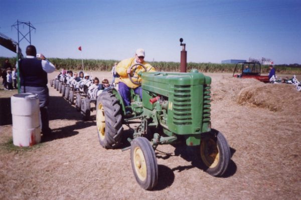 Cajun Country Corn Maze