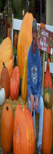 Hawk Valley Garden Pumpkin and Produce Stand's Fall Festival