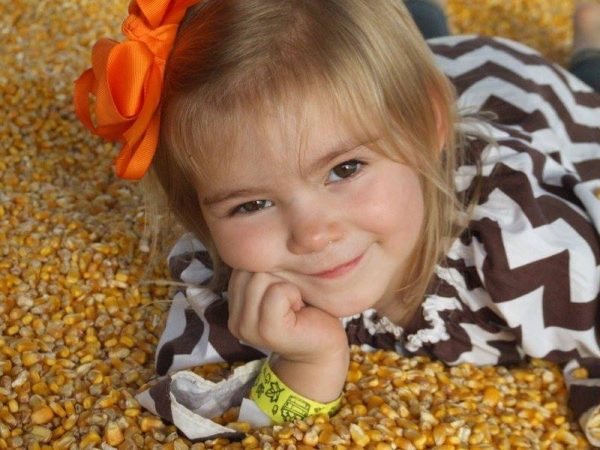 CornDodgers Farm Haunted Trail Maze