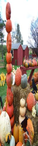 Hawk Valley Garden Pumpkin and Produce Stand's Fall Festival