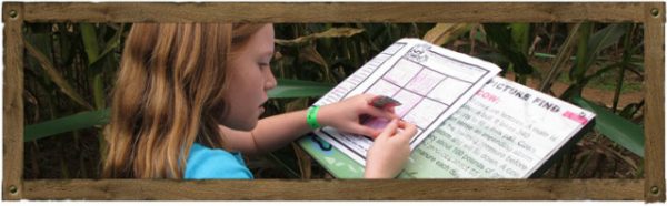 Butcher's Family Fun Farm