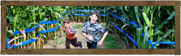 Butcher's Family Fun Farm