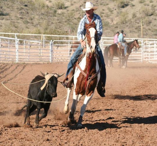 Cowboy Country Fall Festival