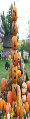 Hawk Valley Garden Pumpkin and Produce Stand's Fall Festival