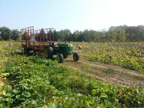 Ard's Farm Market