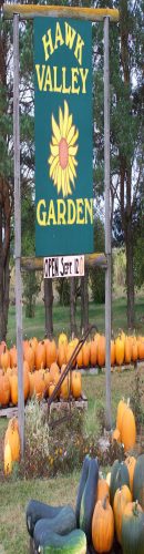 Hawk Valley Garden Pumpkin and Produce Stand's Fall Festival