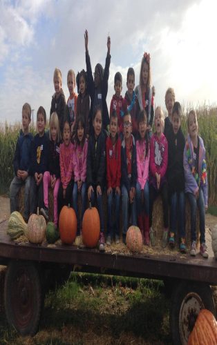 R.A.M. Farms Inc Corn Maze