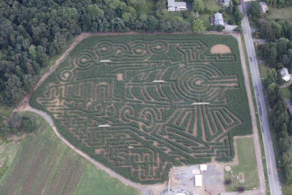 Stony Hill Maze Fun Park