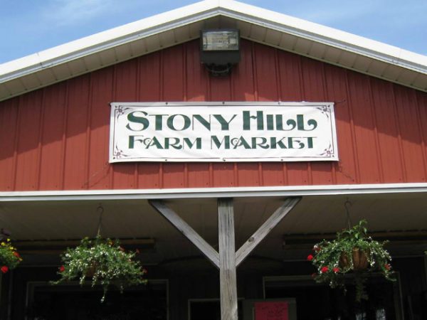 Stony Hill Maze Fun Park
