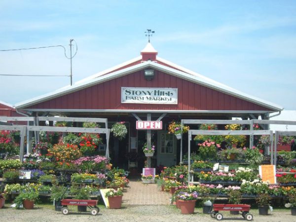 Stony Hill Maze Fun Park
