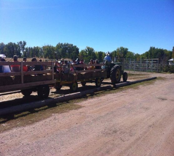 Lower Valley Pumpkin Patch