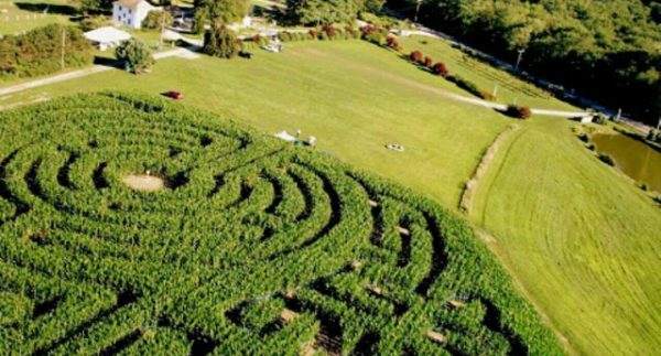 Fort Hill Farms, LLC