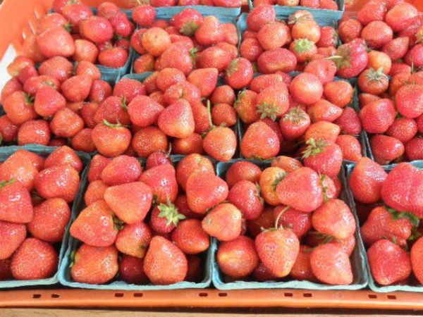 Billingsgate Farm