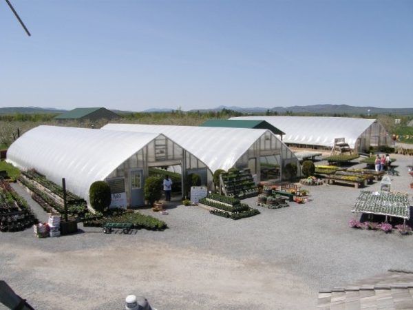 Rulfs Orchard