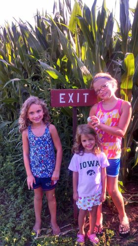 Barn Stahl Petting Zoo & Corn Maze