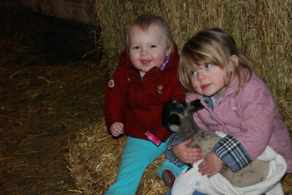 Govin's Farm Corn Maze