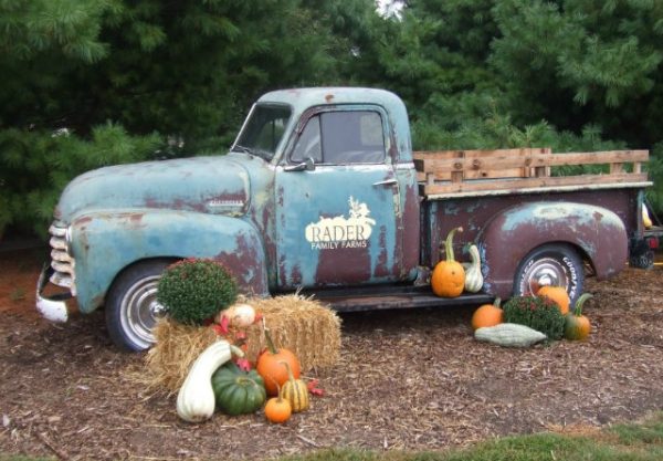 Radar Family Farms