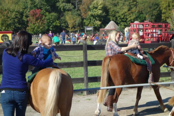 Kuipers Family Farm