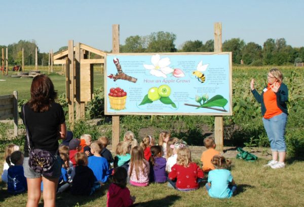 All Seasons Apple Orchard Corn Maze